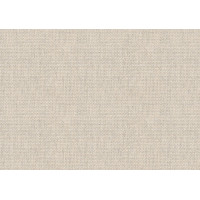 B123 140 Cliff Obvious